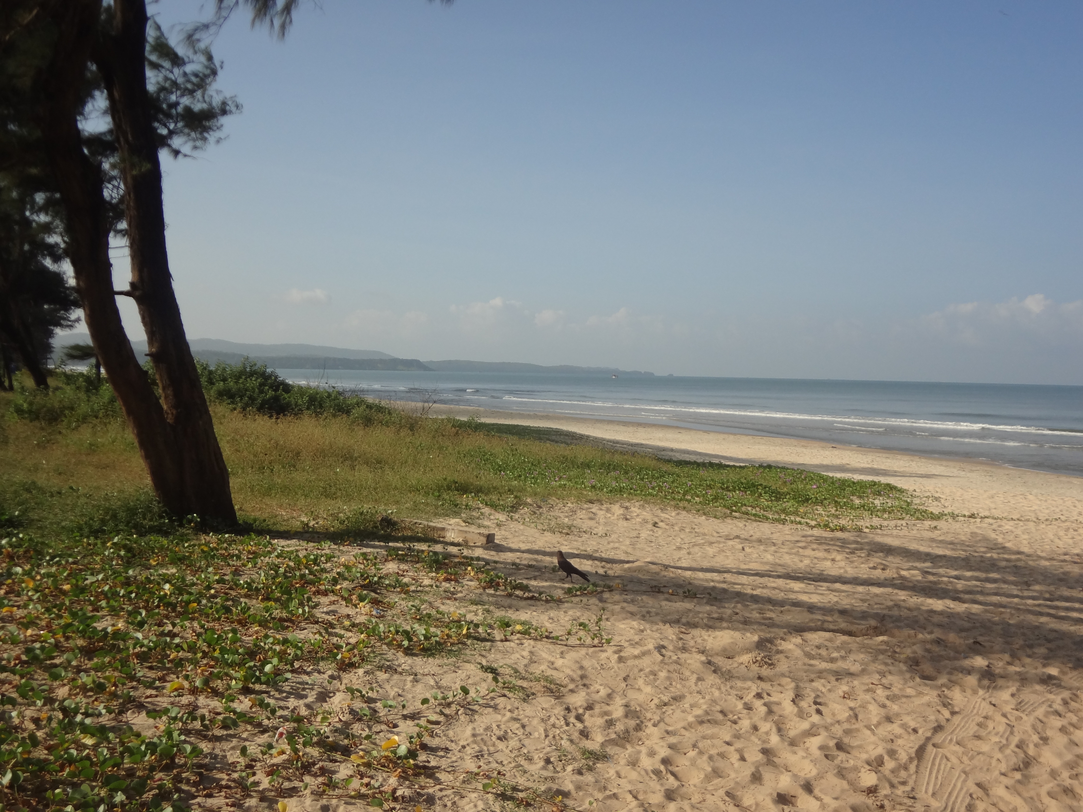 Cavelossim Beach in South Goa